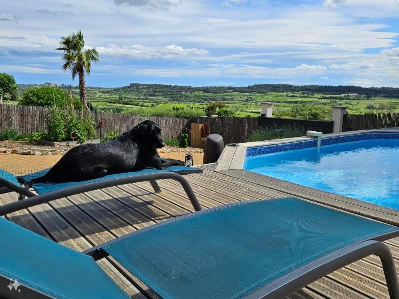 Domaine Du Chene Hotel Campagnan Buitenkant foto