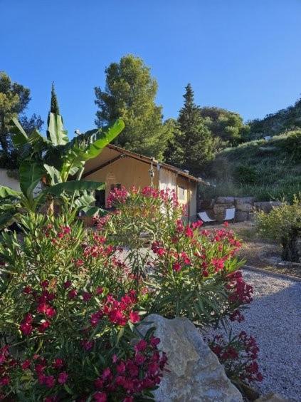 Domaine Du Chene Hotel Campagnan Buitenkant foto